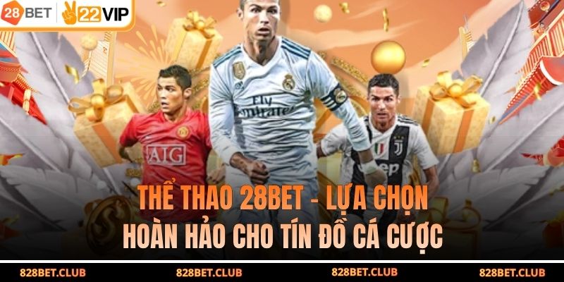 Thể Thao 28BET - Lựa Chọn Hoàn Hảo Cho Tín Đồ Cá Cược